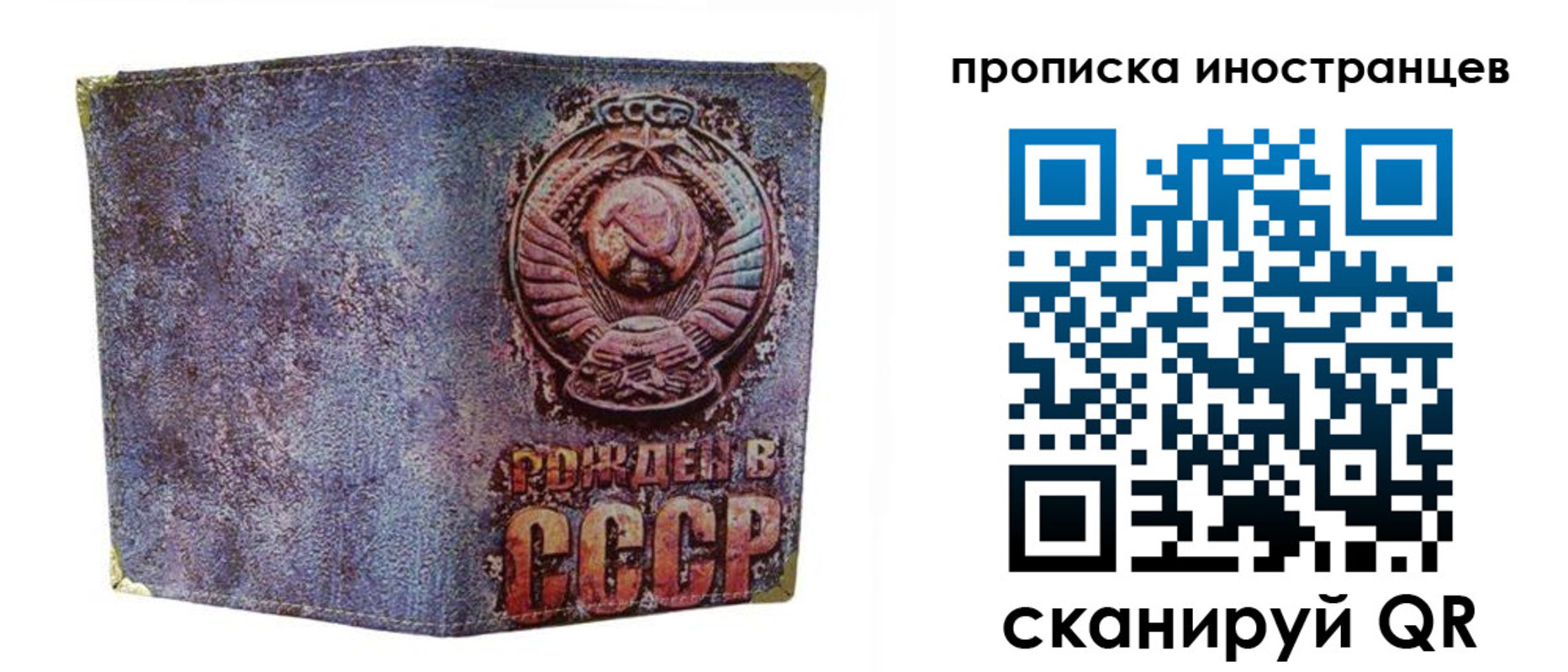 прописка для школы в Курске